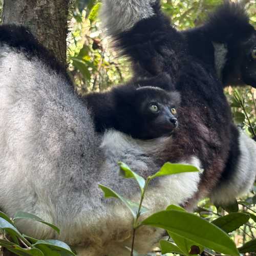 Мадагаскар