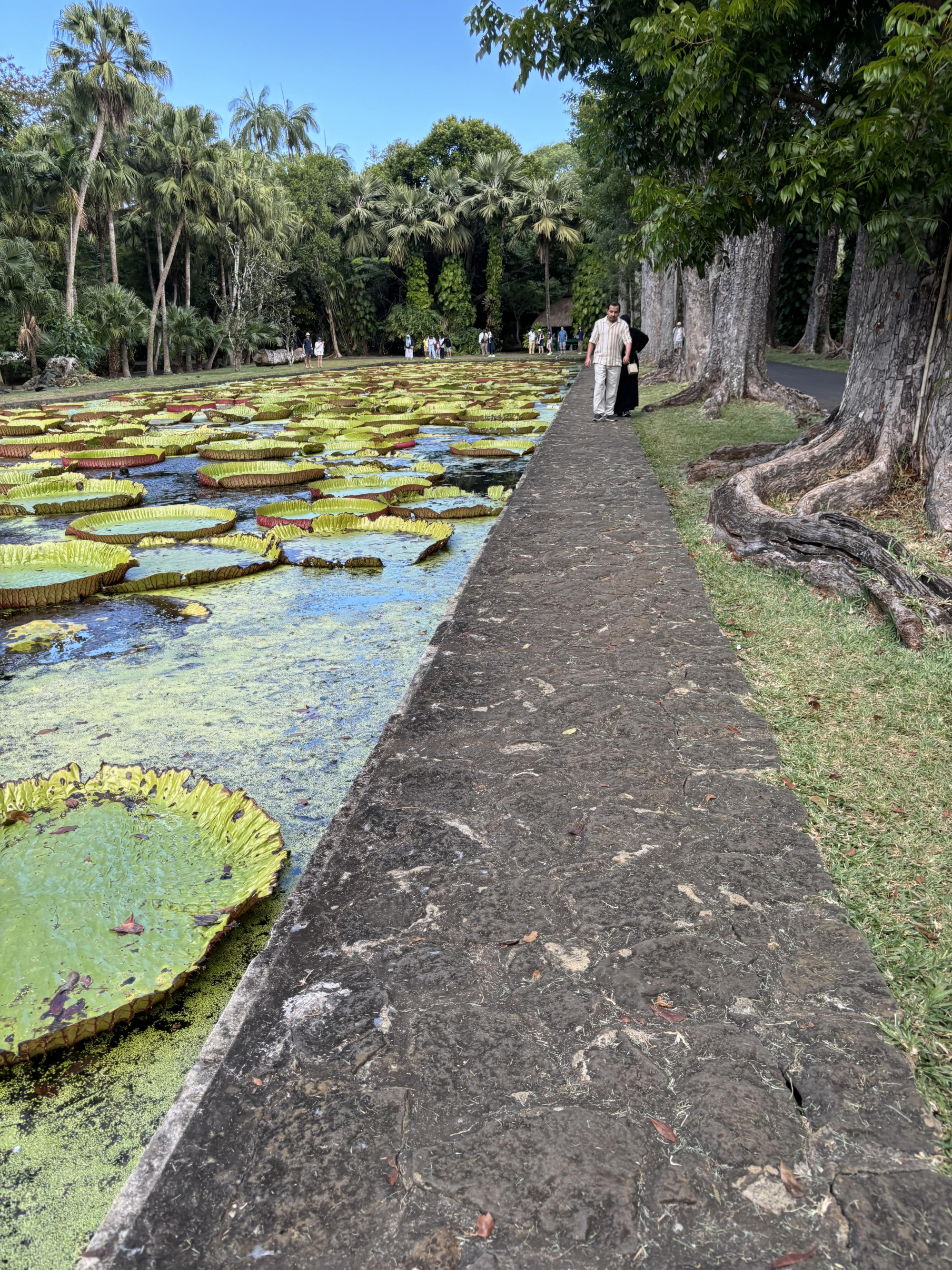 Mauritius