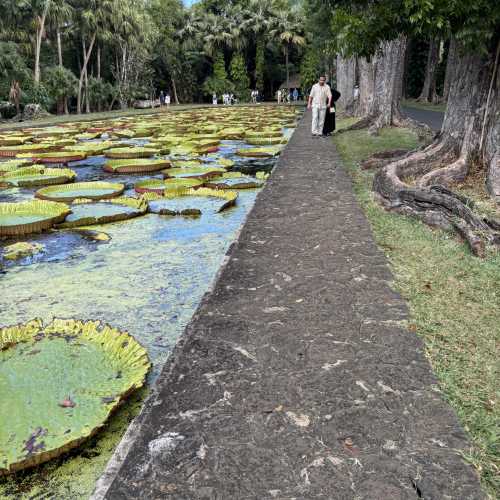 Mauritius