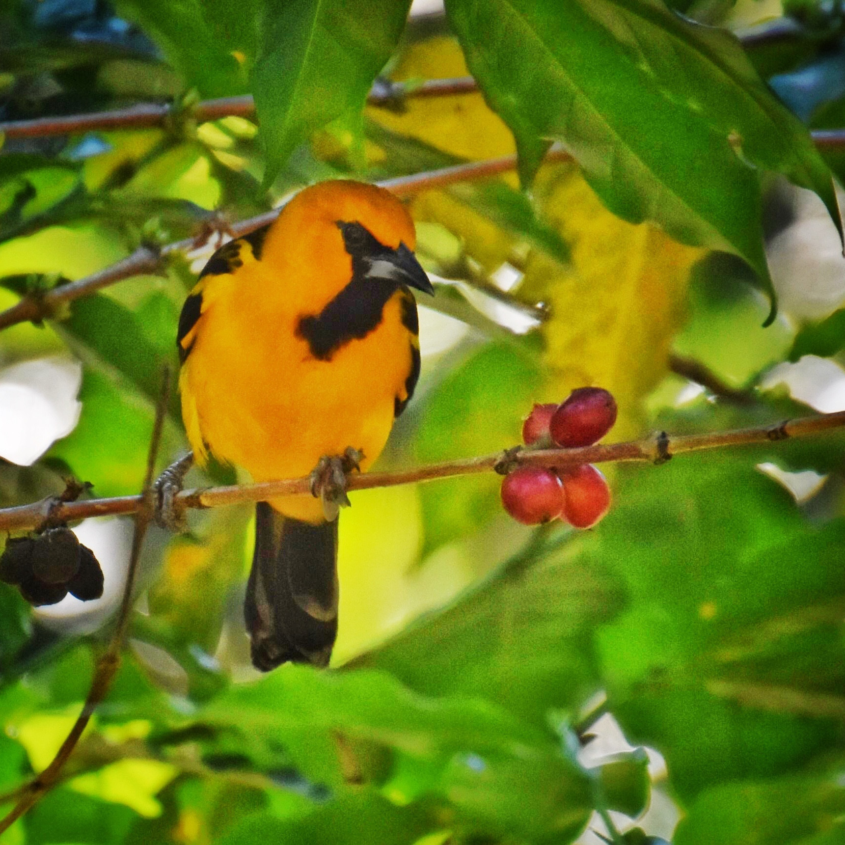 San Salvador, El Salvador