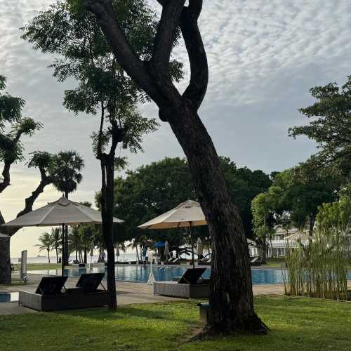 Тринкомали