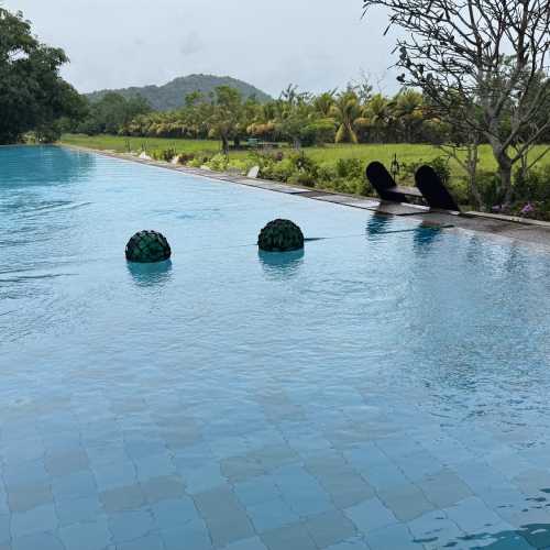 Дамбулла, Шри-Ланка