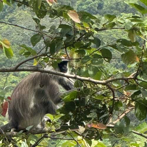 Сигирия, Шри-Ланка