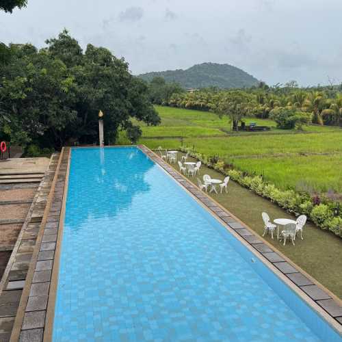 Дамбулла, Шри-Ланка