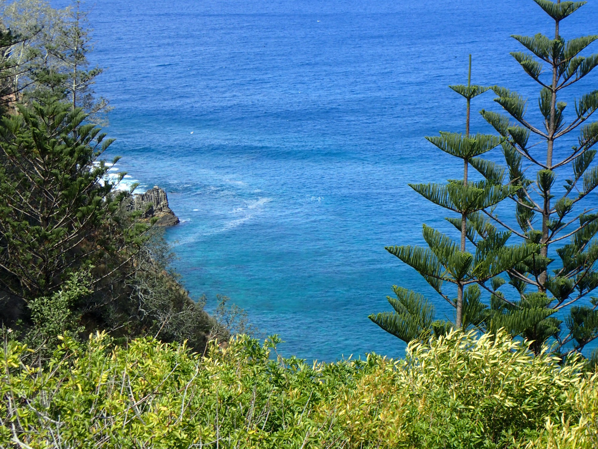 Da On Cliff, Norfolk Island