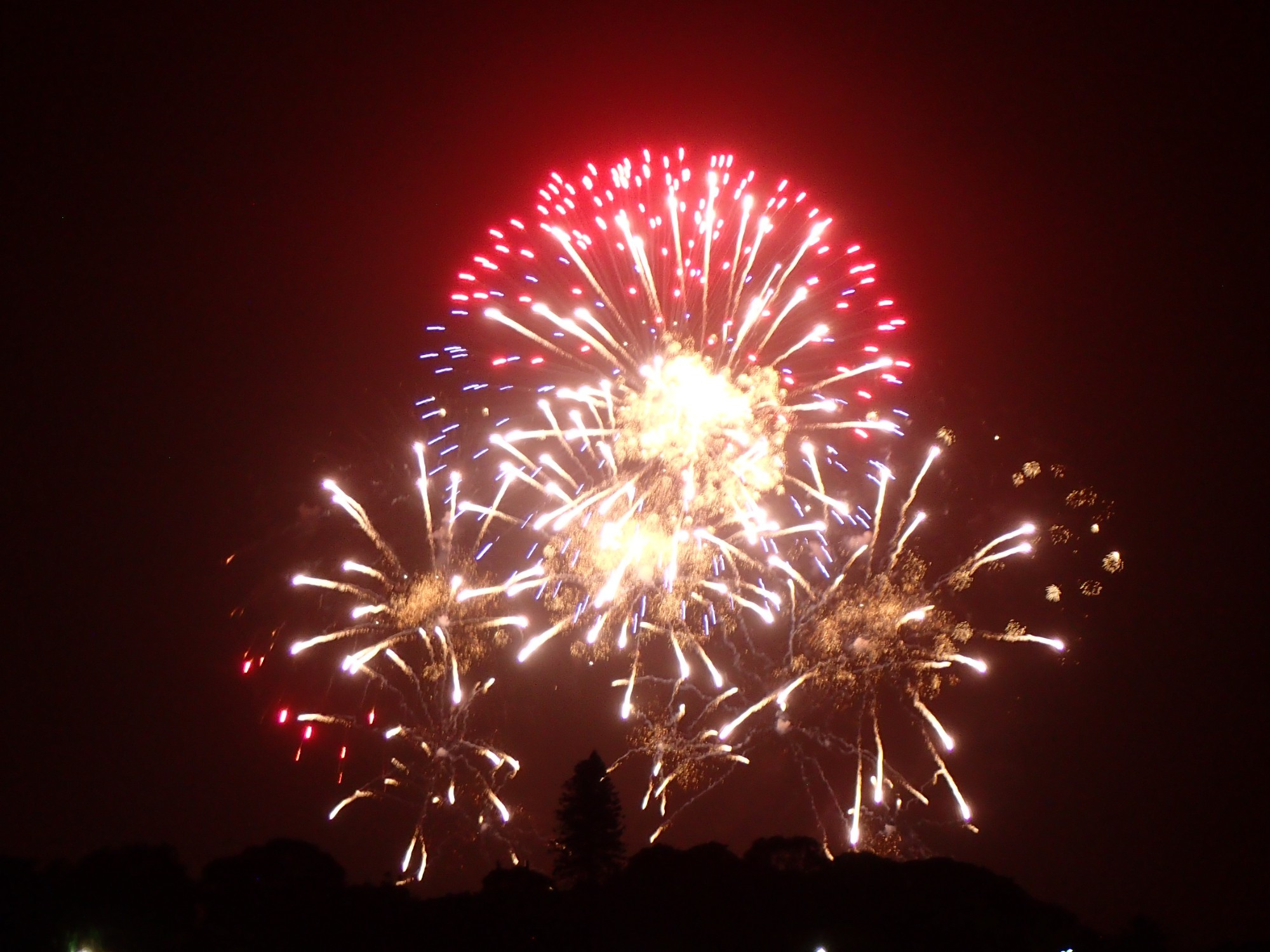 New Year's Eve Firework Over Sydney Harbour, Австралия