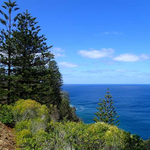 Da On Cliff, Norfolk Island