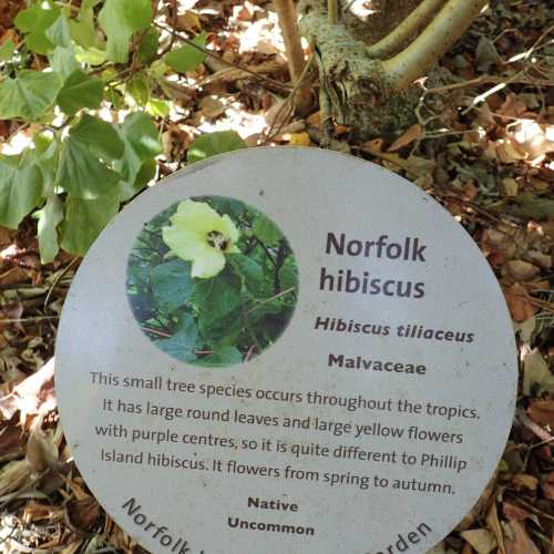 Norfolk Island Botanical Garden, Norfolk Island