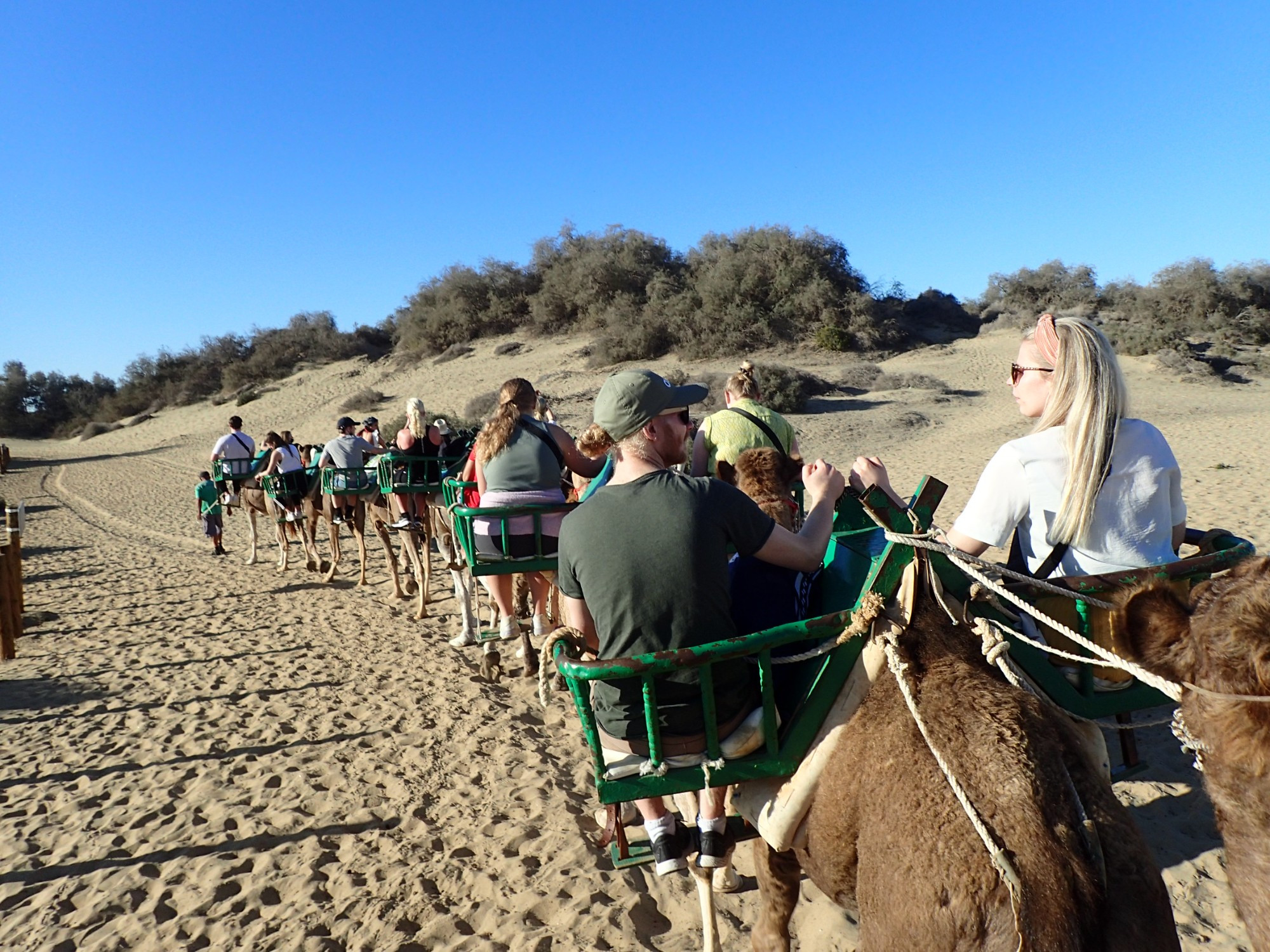 Camel Safari Dunas, Spain