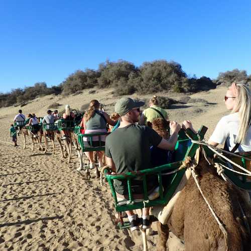 Camel Safari Dunas, Spain