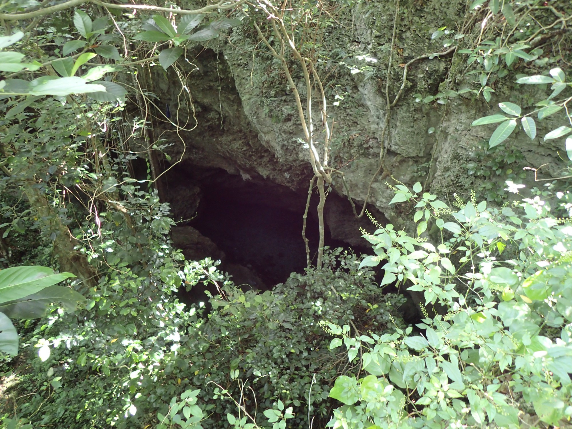 Cliffs & Caves on Lifou Island, Новая Каледония о-в