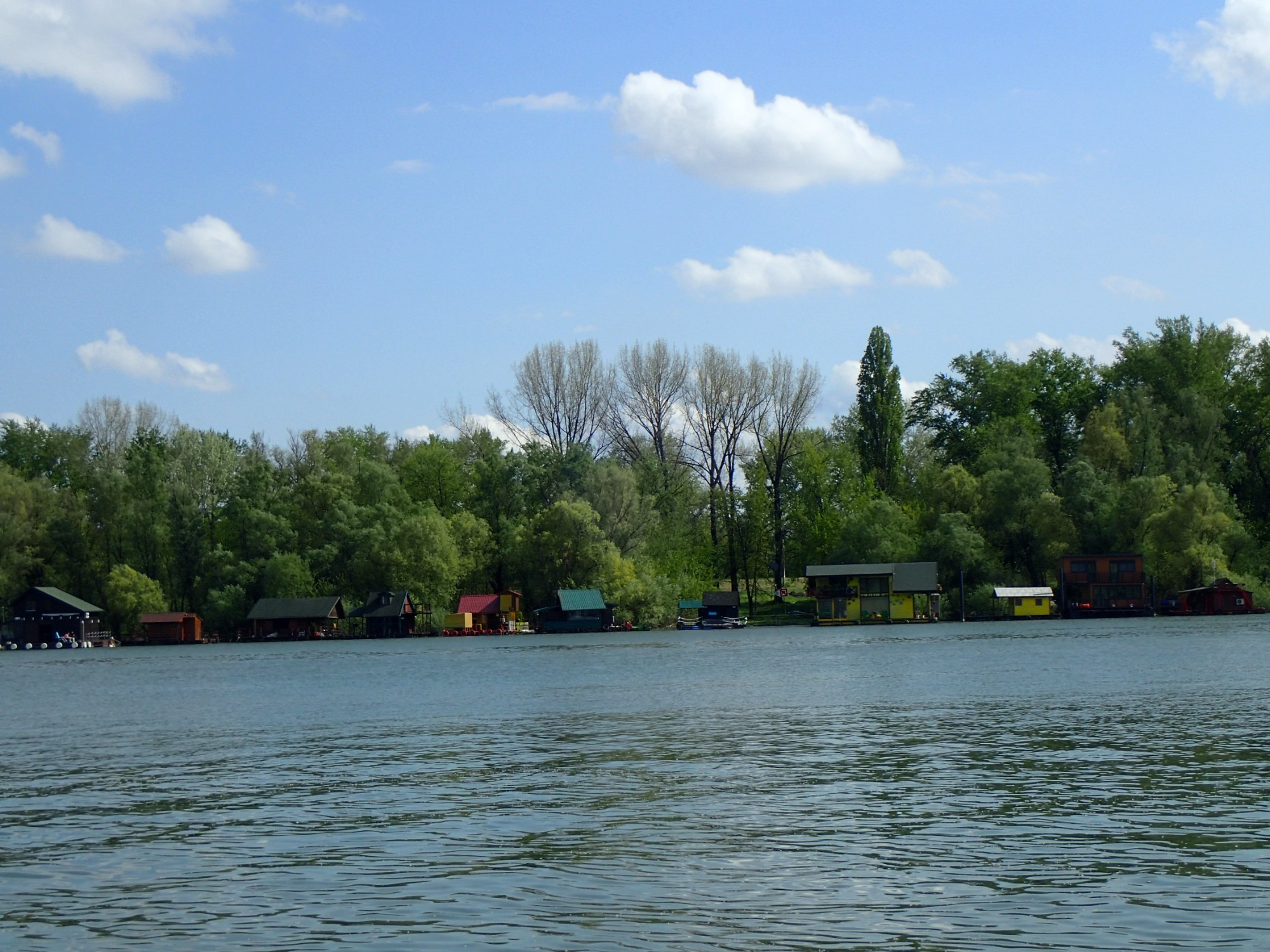 Sava River Bank, Serbia