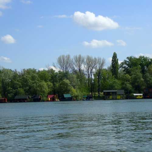 Sava River Bank, Serbia