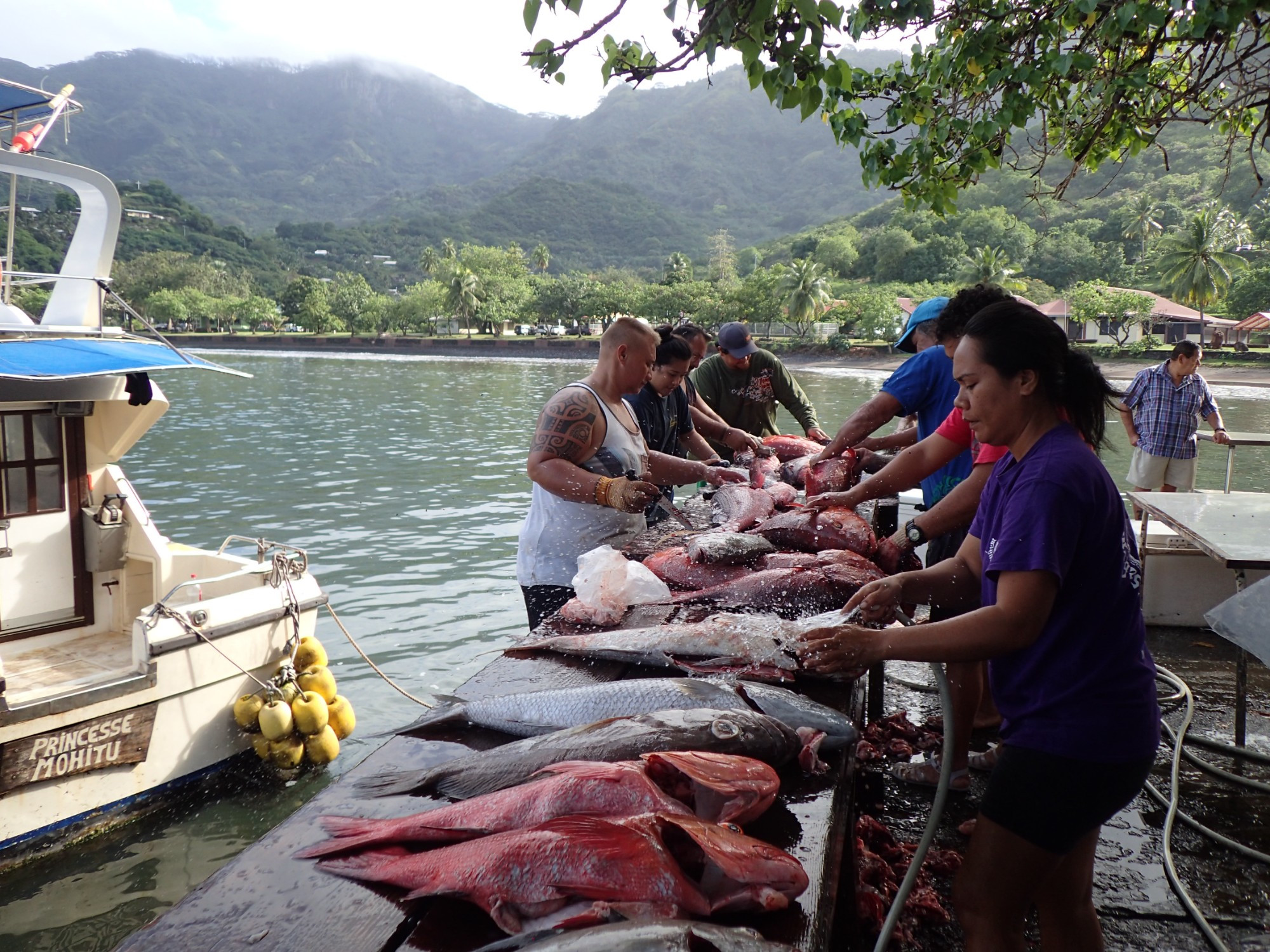 Taiohae Waterfront Fishmarket, Французская Полинезия