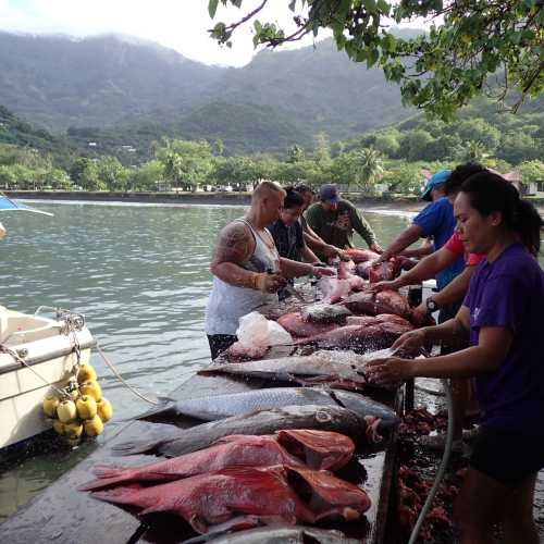 Taiohae Waterfront Fishmarket, French Polynesia