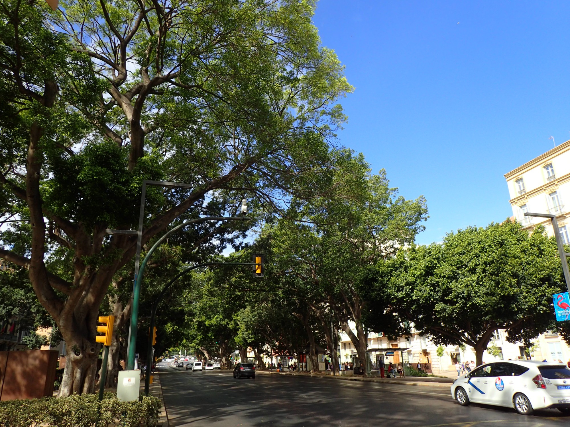 Alameda Avenue, Spain