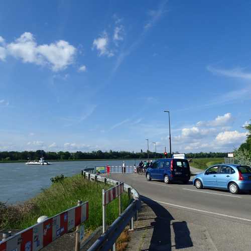 Rhine Ferry Crossing Drusenheim-Greffern