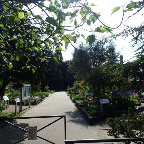 Botanical Garden of Strasbourg University photo