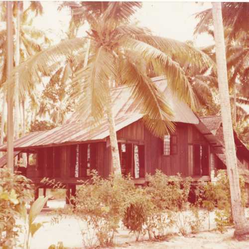 Teluk Bahang Forest