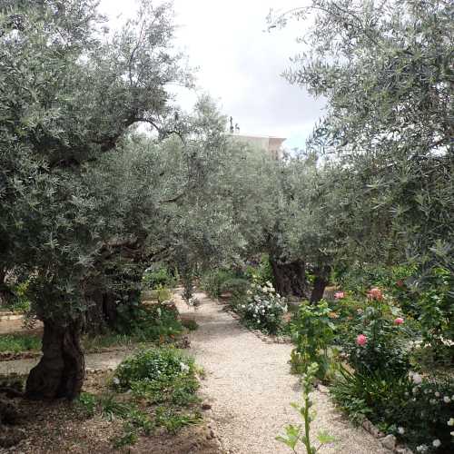 Gethsemane, Israel