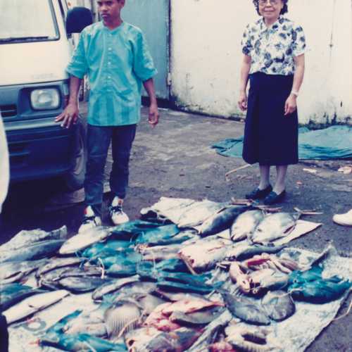Suva Waterfront Fish Market