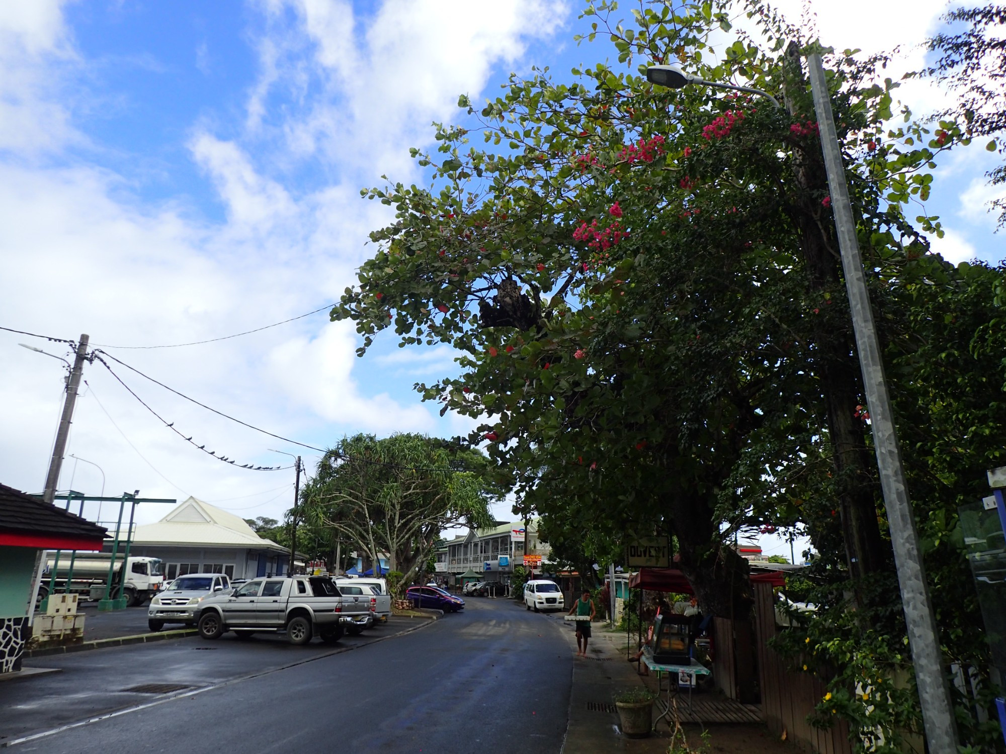 Fare Roulottes - Restaurants Zone, French Polynesia