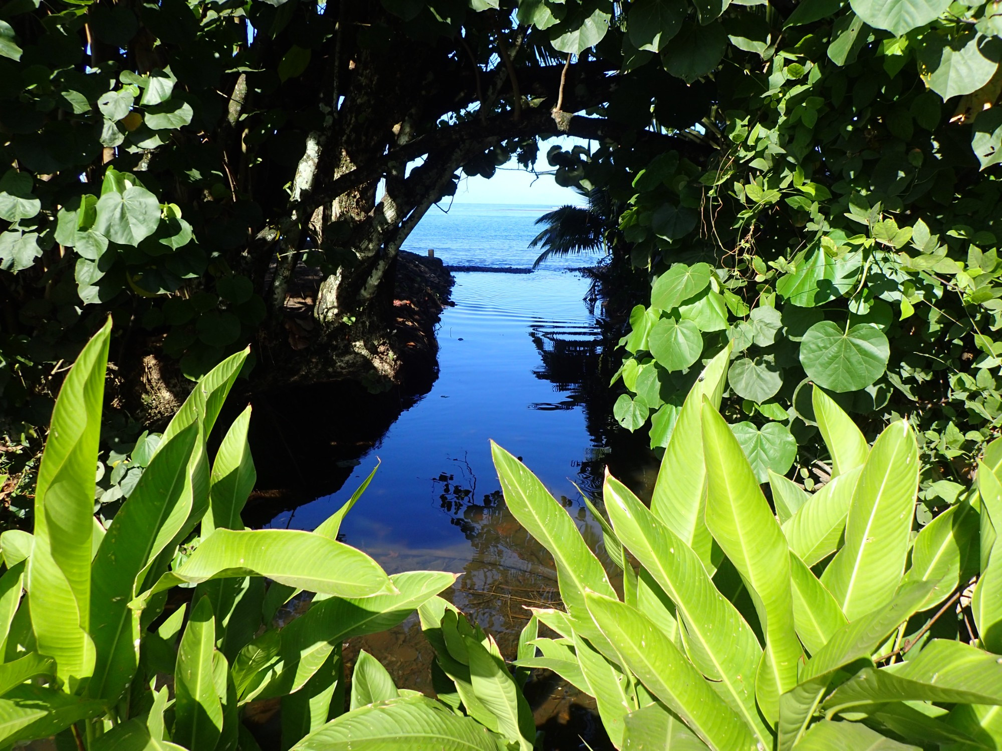 Teahupoo Stream, Французская Полинезия