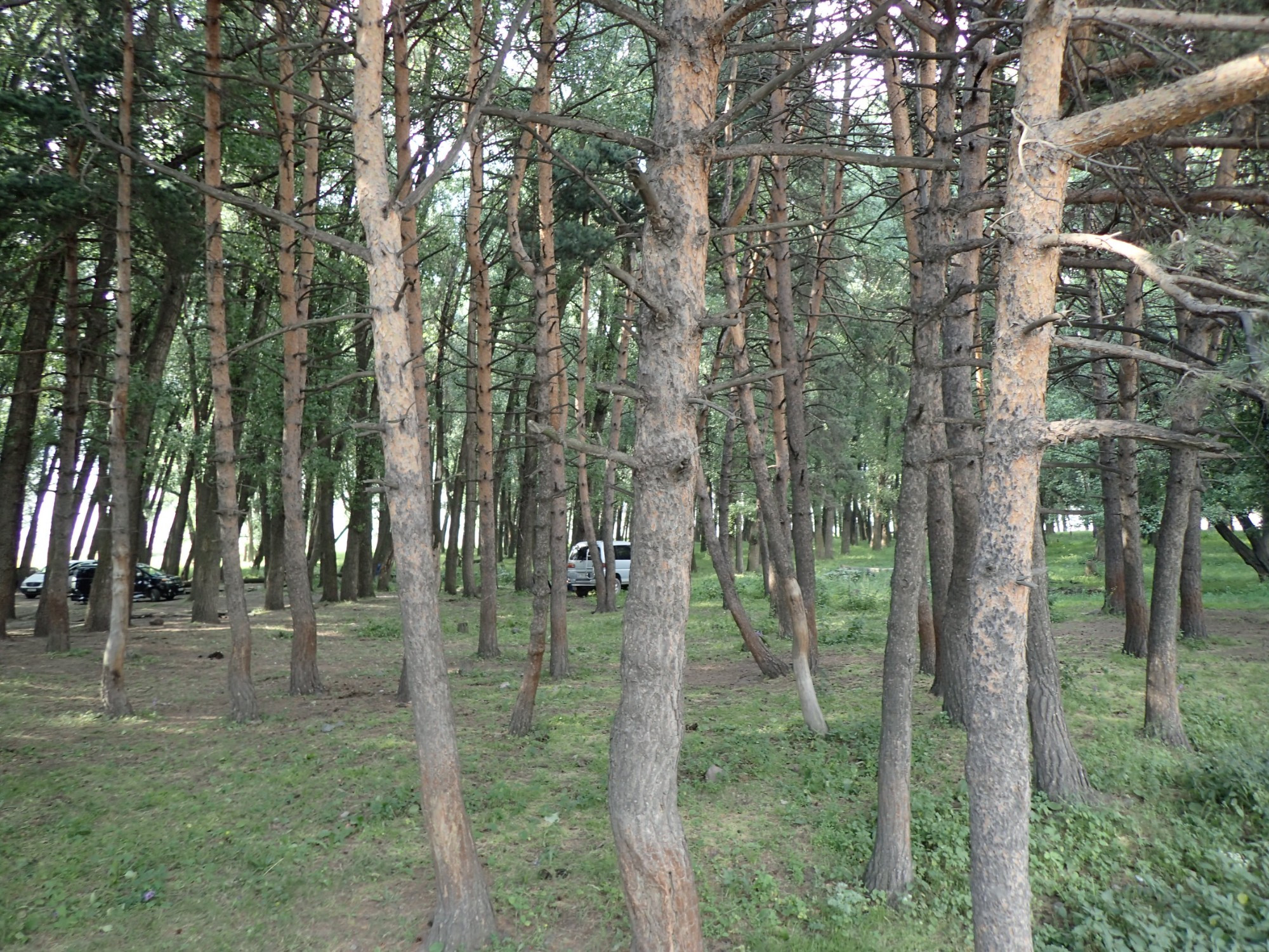 Terek River, Georgia