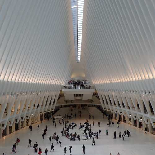 Oculus - Westfield World Trade Center, United States