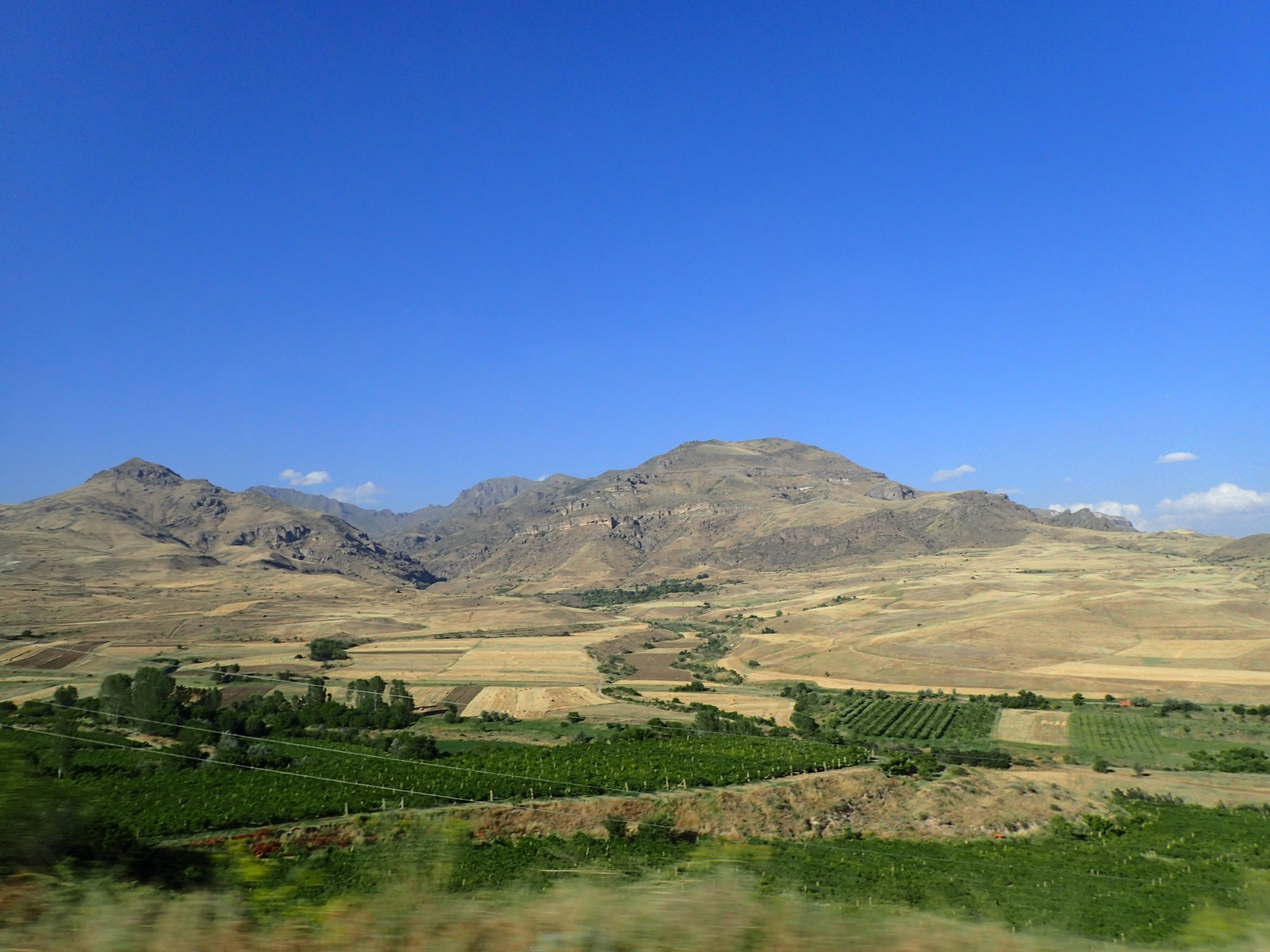 Areni Vineyard, Armenia