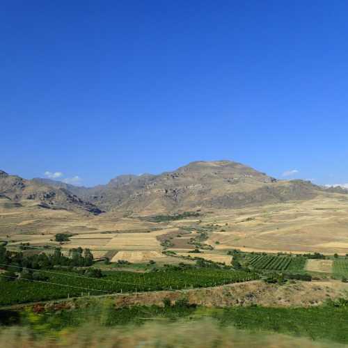 Areni Vineyard, Armenia