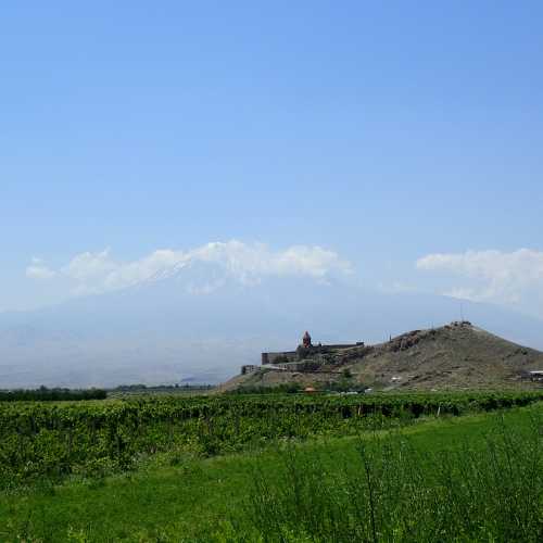 Ararat Mount Seen From Khor Virap, Armenia