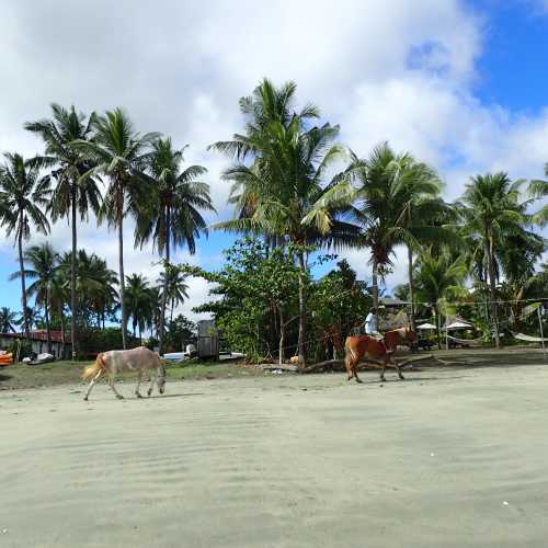 Нанди, Фиджи