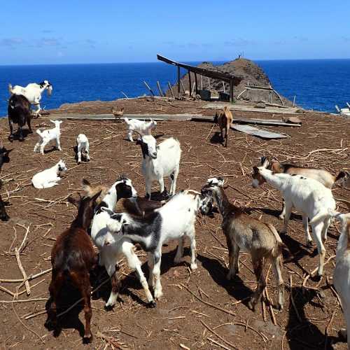Goat Station, French Polynesia