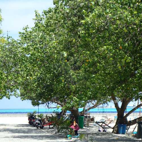 One Love Beach, Мальдивские о-ва
