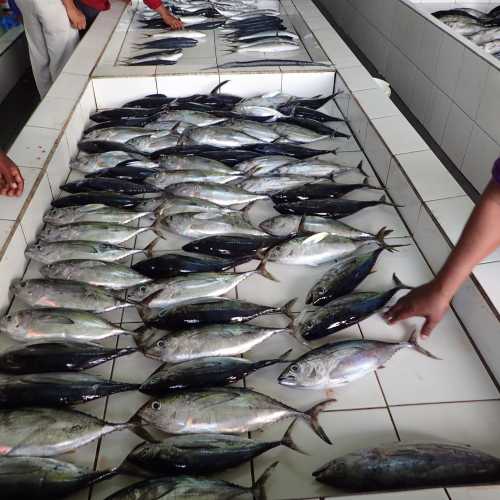 Fish Market, Мальдивские о-ва