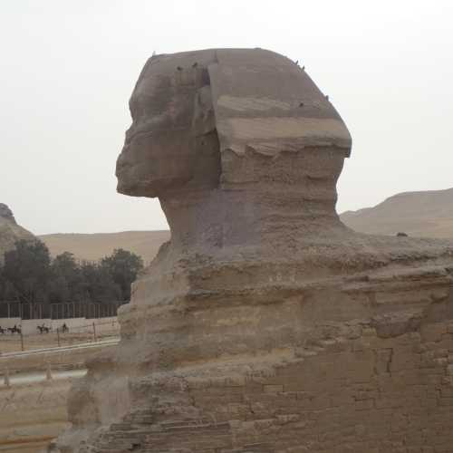 Большой сфинкс, Египет