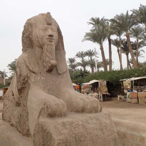 Sphinx of Memphis, Египет