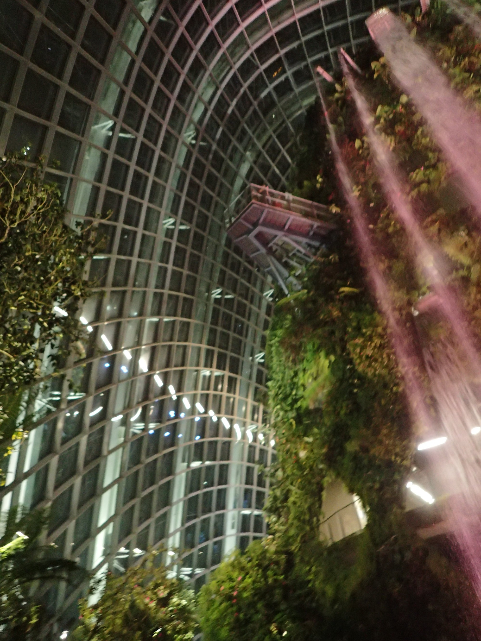 Cloud Forest Dome, Сингапур