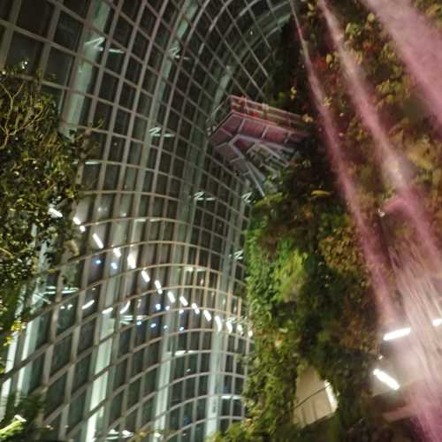 Cloud Forest Dome, Сингапур