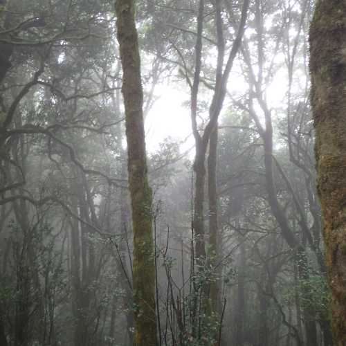 Reventon Oscuro, Spain