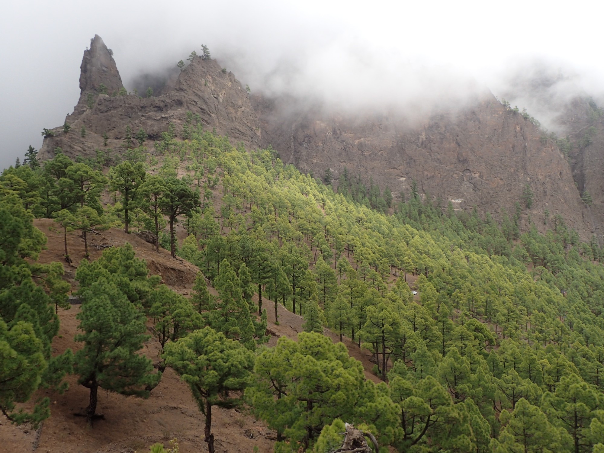 Caldera de Taburiente, Испания