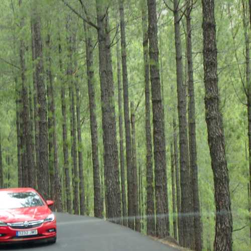 Carretera de Caldera de Taburiente