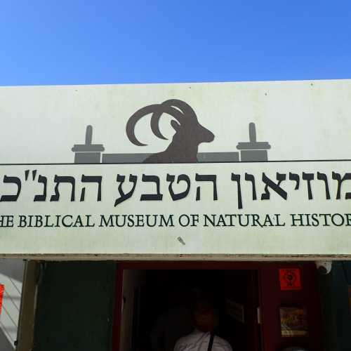 Biblical Museum of Natural History