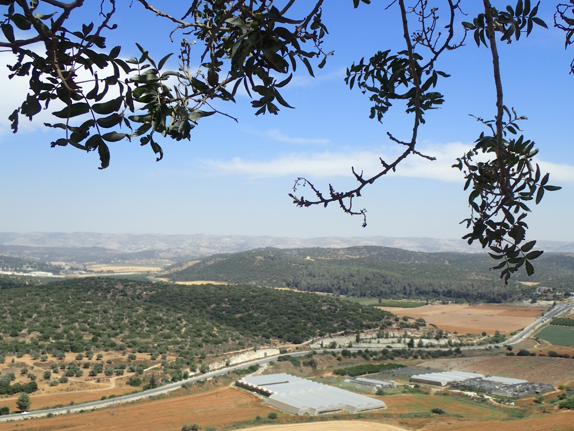 Elah Valley, Israel