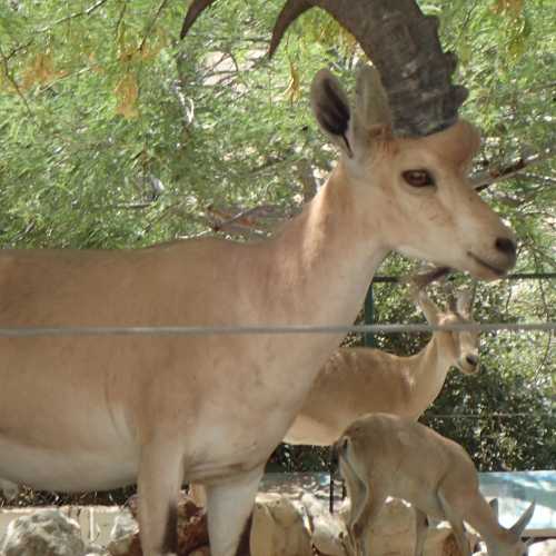 Ein Gedi Field School, Израиль