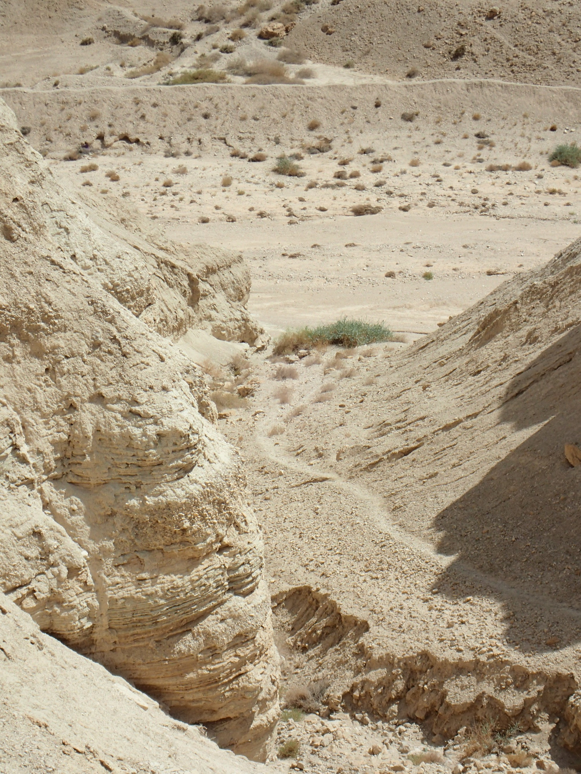 Wadi Qumran, Israel