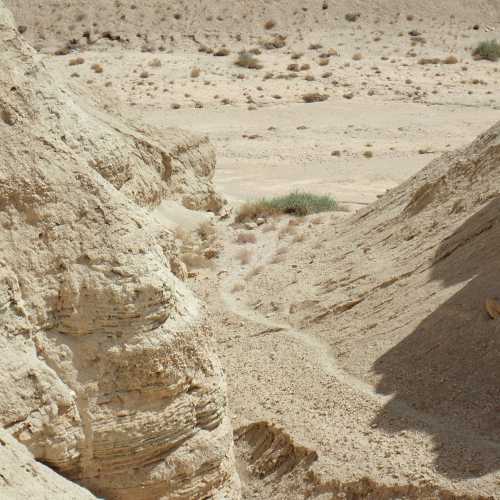 Wadi Qumran, Israel