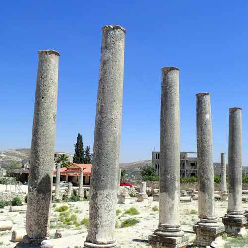 Colonnade Ruin, Palestine