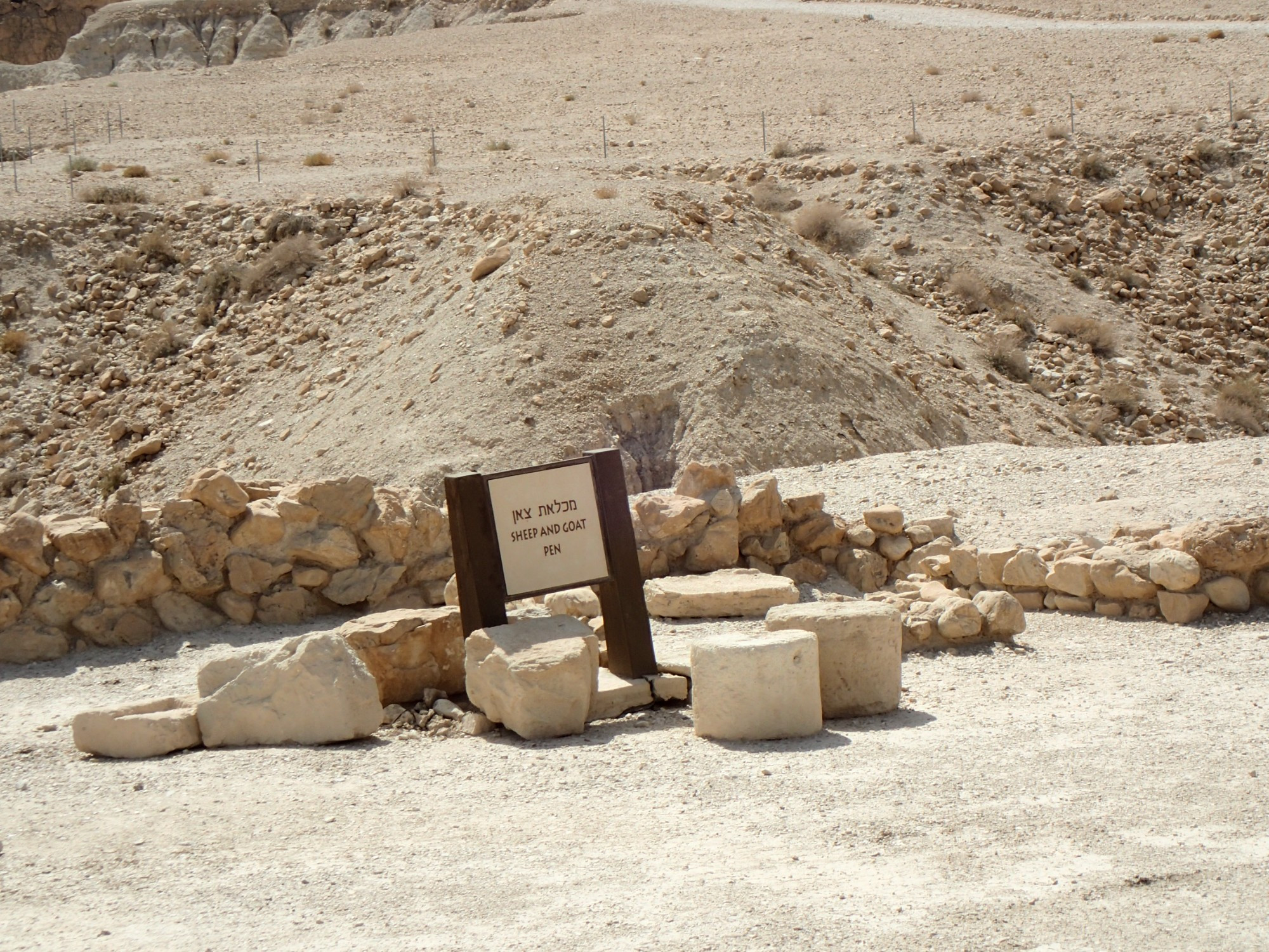 Sheep & Goat Pen, Israel